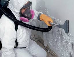 Best Black Mold Removal  in Broxton, GA